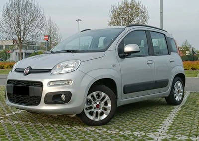 Fiat Panda 1.2 Easy usata
