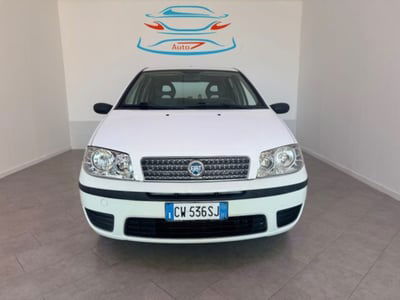 Fiat Punto 1.2 5 porte Dynamic usata
