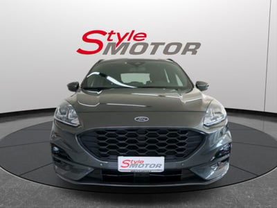 Ford Kuga 2.0 EcoBlue 120 CV aut. 2WD ST-Line X usata