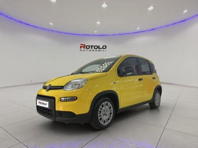Fiat Panda 1.0 firefly hybrid s&s 70cv 5p.ti nuova