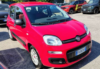Fiat Panda 1.2 EasyPower Easy usata