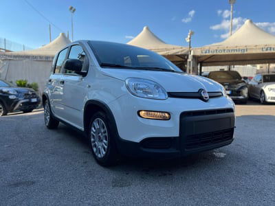Fiat Panda Cross Cross 1.0 FireFly S&S Hybrid nuova