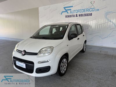 Fiat Panda 1.2 Active usata