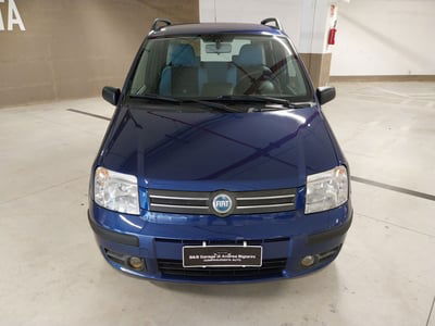 Fiat Panda 1.2 Alessi usata
