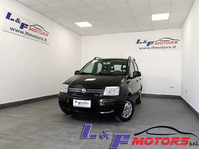 Fiat Panda 1.3 MJT 16V DPF usata