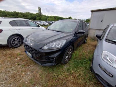 Ford Kuga 1.5 EcoBlue 120 CV 2WD ST-Line usata