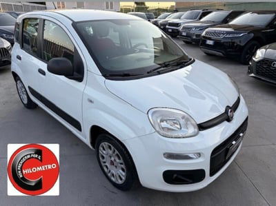 Fiat Panda 1.2 EasyPower Easy usata