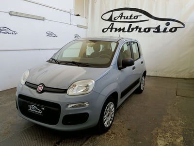 Fiat Panda 1.2 Lounge usata