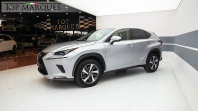 Lexus NX Hybrid 4WD Luxury usata