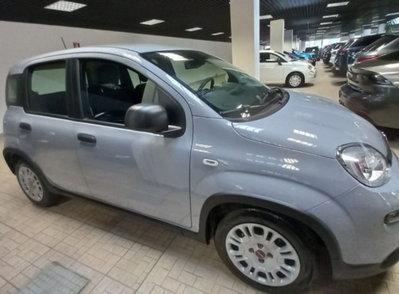 Fiat Panda 1.0 firefly hybrid s&s 70cv usata