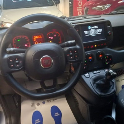 Fiat Panda 1.0 firefly hybrid s&s 70cv (2)