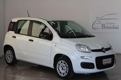 Fiat Panda 1.2 EasyPower Easy usata