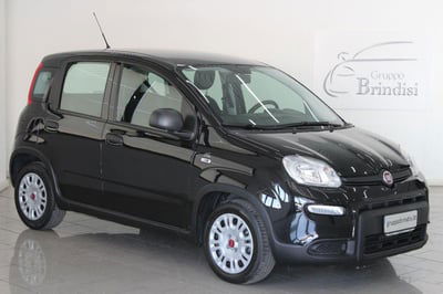 Fiat Panda 1.0 firefly hybrid Pop s&s 70cv usata