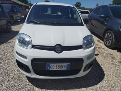 Fiat Panda 1.2 EasyPower Easy usata