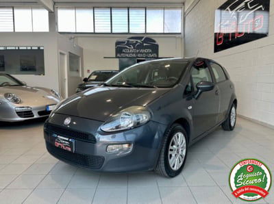Fiat Punto 1.2 8V 5 porte Pop usata