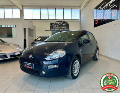 Fiat Punto 1.2 8V 5 porte Young usata