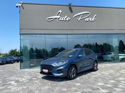 Ford Kuga 2.0 EcoBlue 120 CV aut. 2WD ST-Line X usata