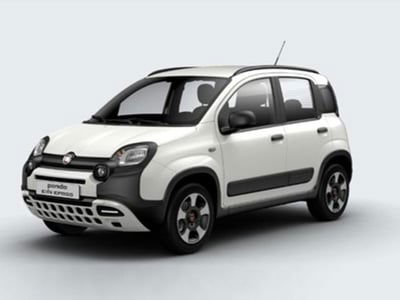 Fiat Panda 1.0 FireFly S&S Hybrid City Cross usata