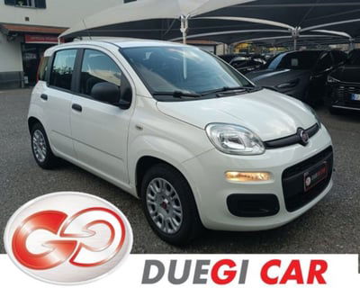 Fiat Panda 1.2 Easy usata