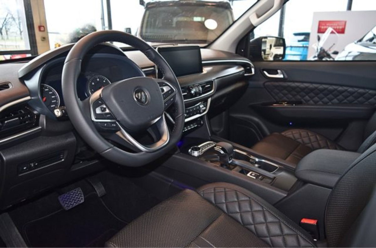 Foton Tunland Pick-up Tunland G7 2.0 tdi single cab (17)