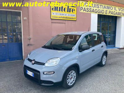 Fiat Panda 1.0 firefly hybrid s&s 70cv 5p.ti usata