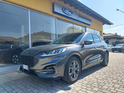 Ford Kuga 2.0 EcoBlue 120 CV aut. 2WD ST-Line X usata