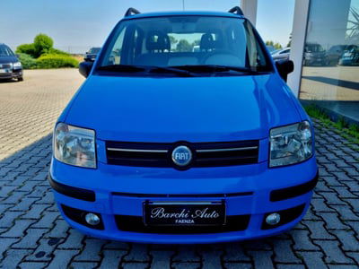 Fiat Panda 1.2 Dynamic usata