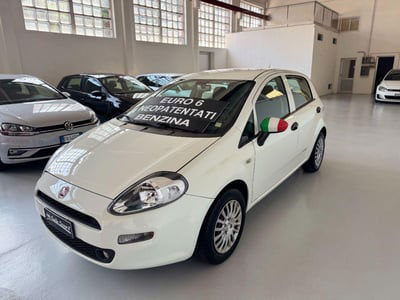 Fiat Punto 1.2 8V 5 porte Lounge usata
