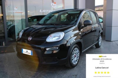 Fiat Panda 1.0 firefly hybrid Pop s&s 70cv usata