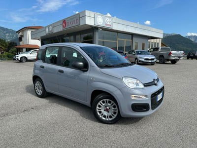 Fiat Panda 1.2 Easy usata