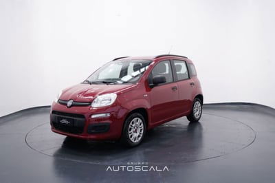 Fiat Panda 1.2 Easy usata