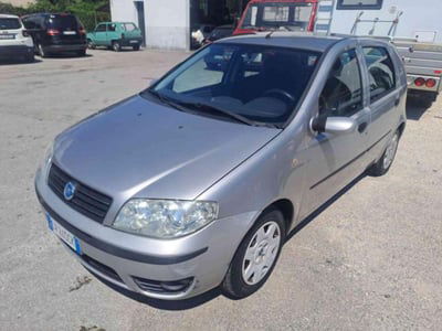 Fiat Punto 1.3 Multijet 16V 5 porte Dynamic usata