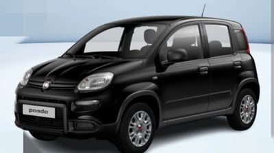 Fiat Panda 1.0 FireFly S&S Hybrid City Cross usata