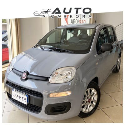 Fiat Panda 1.0 FireFly S&S Hybrid City Cross usata