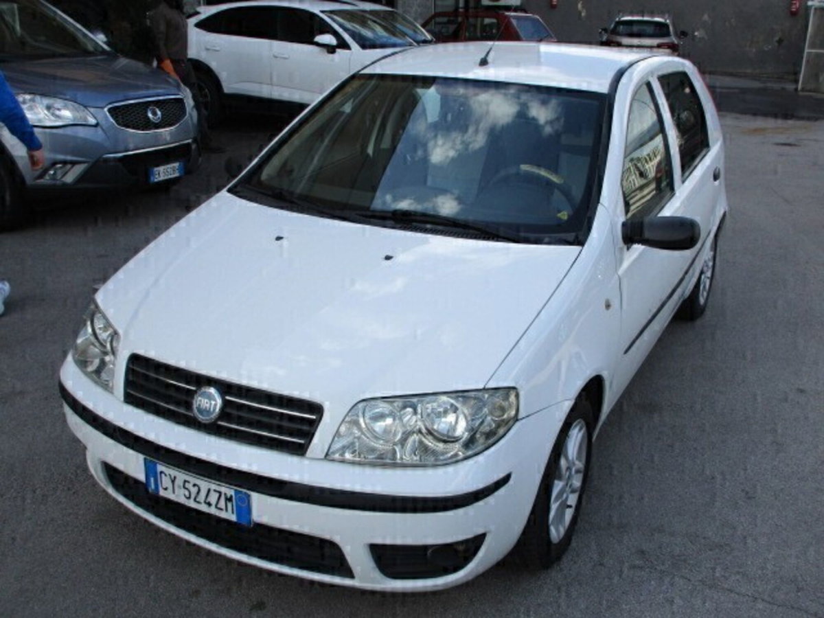 Fiat Punto 1.2 5 porte Active Natural Power (3)