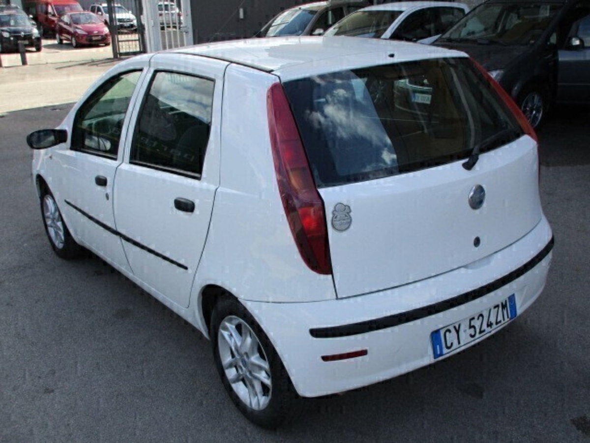 Fiat Punto 1.2 5 porte Active Natural Power (4)