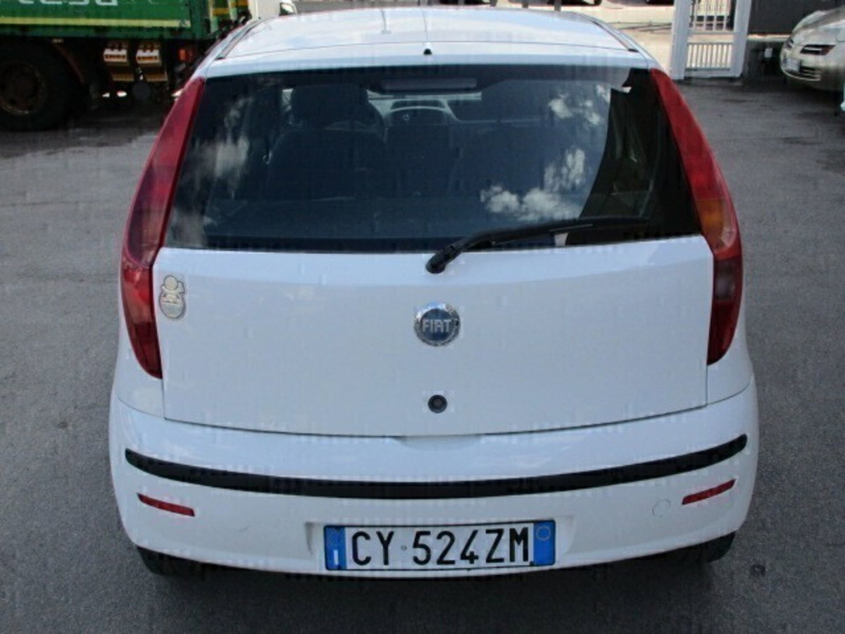 Fiat Punto 1.2 5 porte Active Natural Power (5)