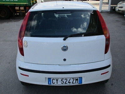 Fiat Punto 1.2 5 porte Active Natural Power (5)