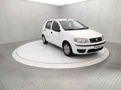 Fiat Punto 1.2 5 porte Actual usata