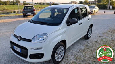 Fiat Panda 0.9 TwinAir Turbo Natural Power Easy usata