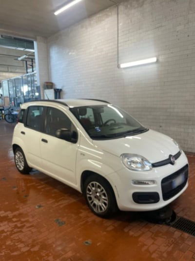 Fiat Panda 1.2 Easy usata