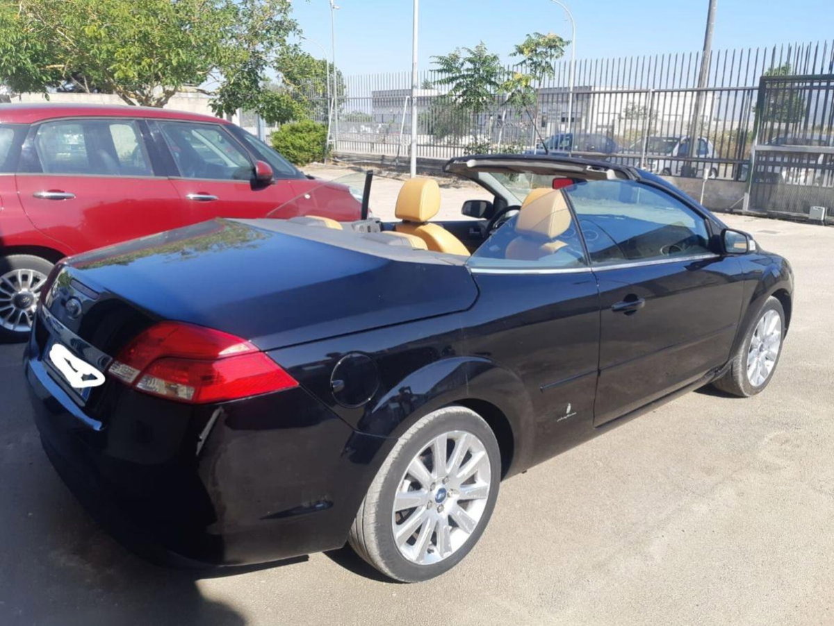 Ford Focus 1.6 Ti-VCT (115CV) 5p. Tit. (7)