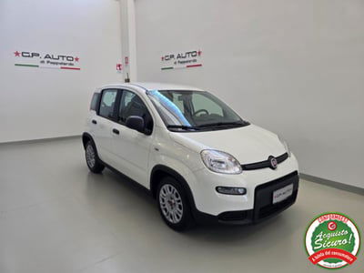 Fiat Panda 1.0 firefly hybrid s&s 70cv 5p.ti usata
