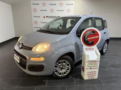 Fiat Panda 1.2 Easy usata