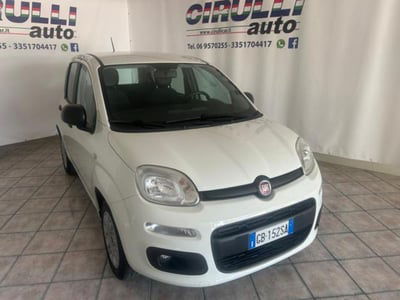 Fiat Panda 1.2 Easy usata