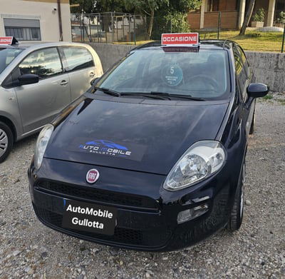 Fiat Punto 1.2 8V 5 porte Lounge usata
