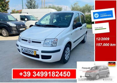 Fiat Panda 1.2 Dynamic usata