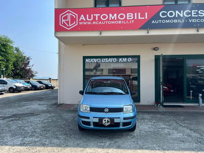 Fiat Panda 1.2 Dynamic usata