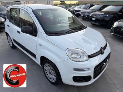 Fiat Panda 1.2 EasyPower Easy usata