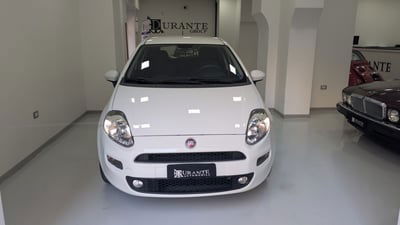 Fiat Punto 1.2 8V 5 porte Street usata